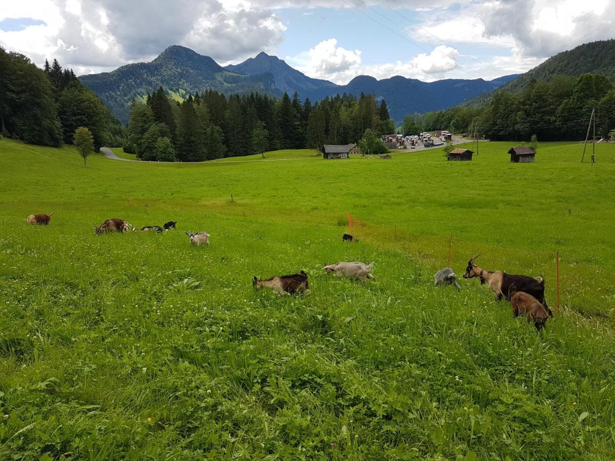 Vila Hirschberghuette Bizau Exteriér fotografie