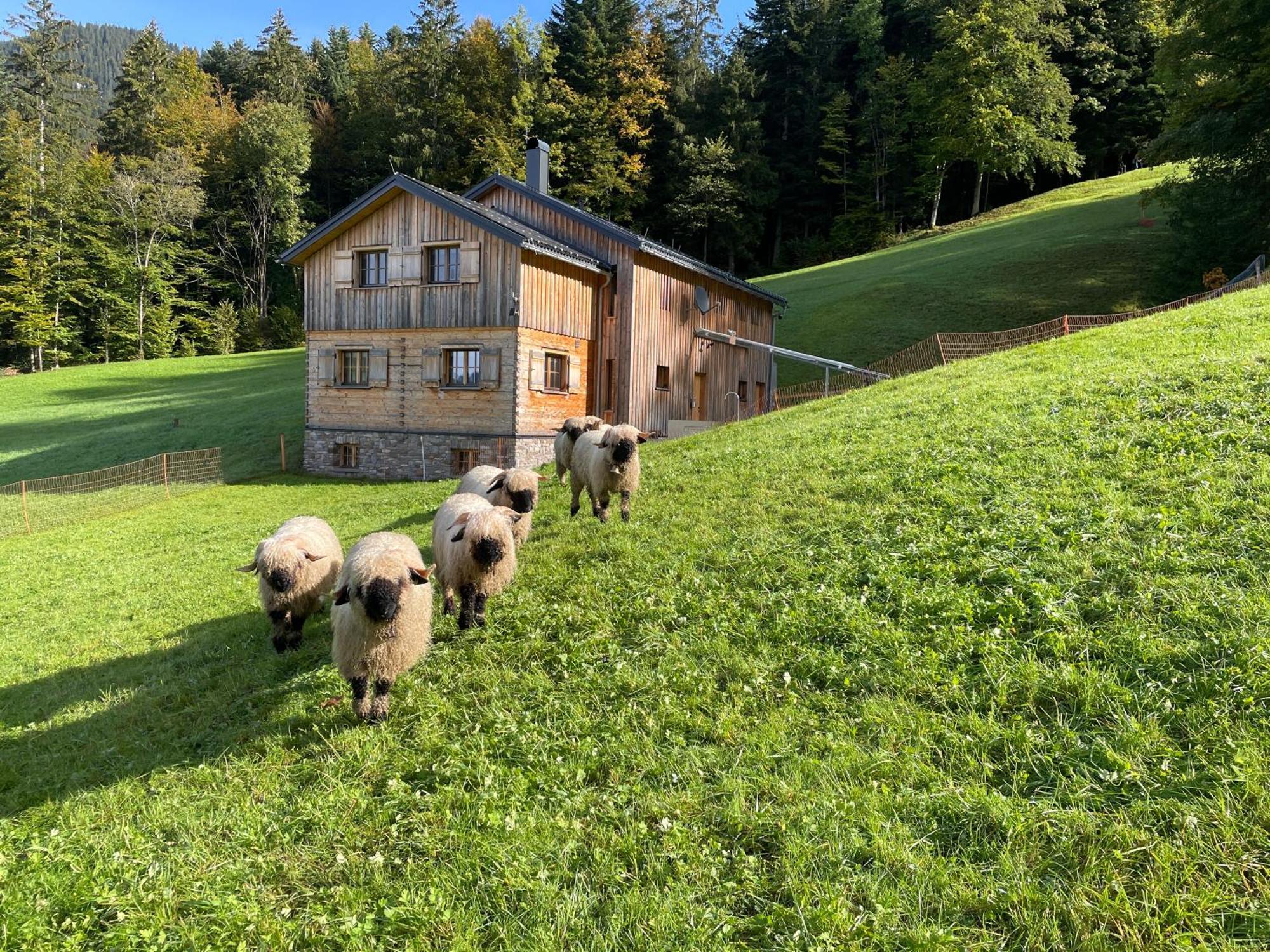 Vila Hirschberghuette Bizau Exteriér fotografie